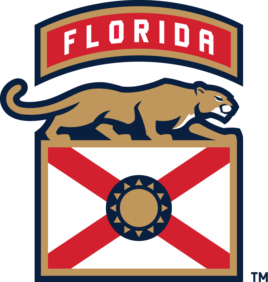 Florida Panthers 2016-Pres Alternate Logo v4 iron on heat transfer